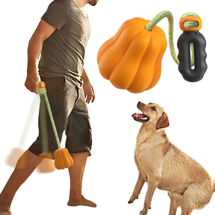 Crixal Dog Toy – Pumpkin Squeaky Tug Ball