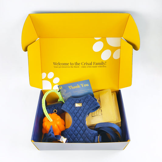 Crixal Luxury Dog Box – Limited Edition (Blue or Black, Pumpkin or Bone Toy)