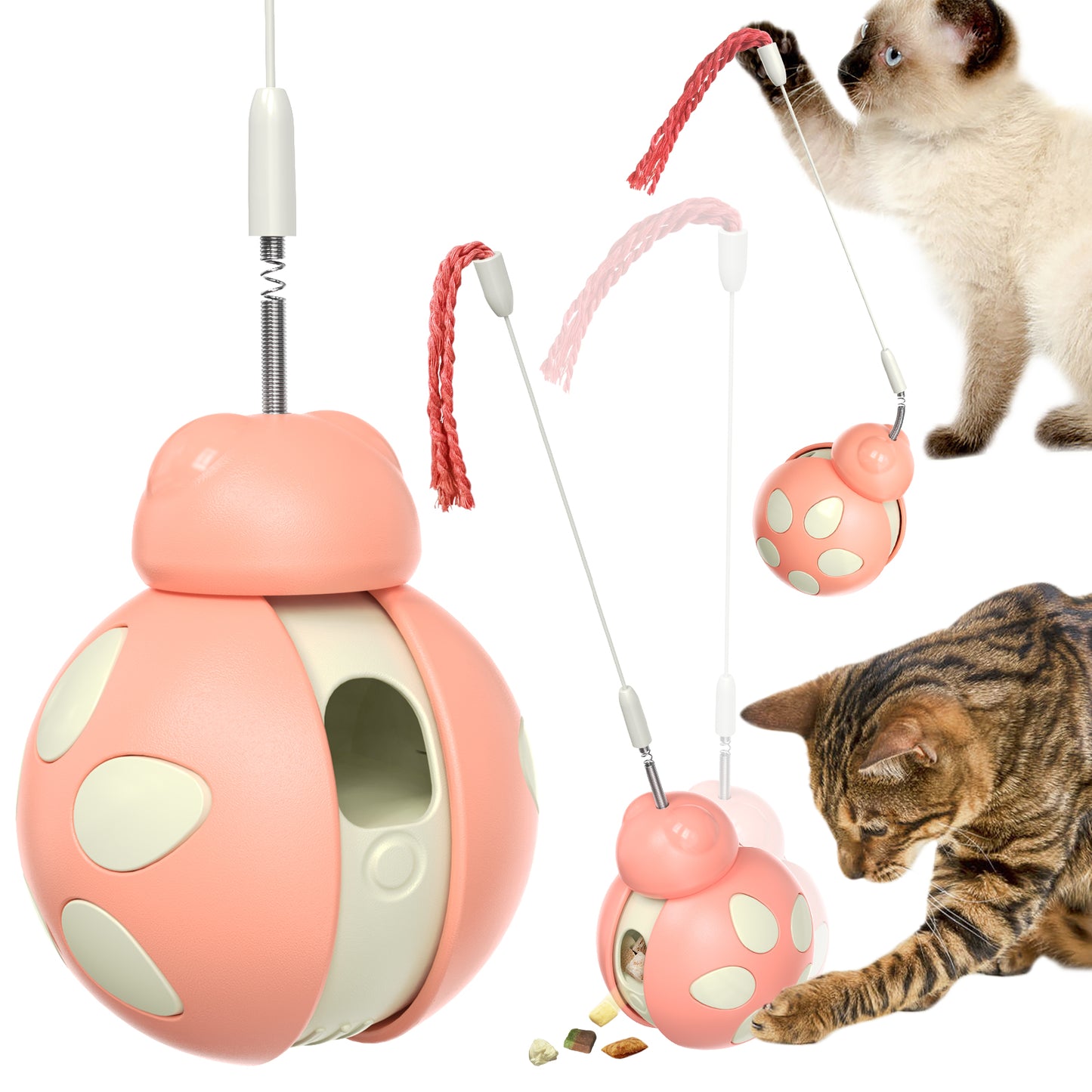 Crixal Luxury Cat Box — Limited Edition