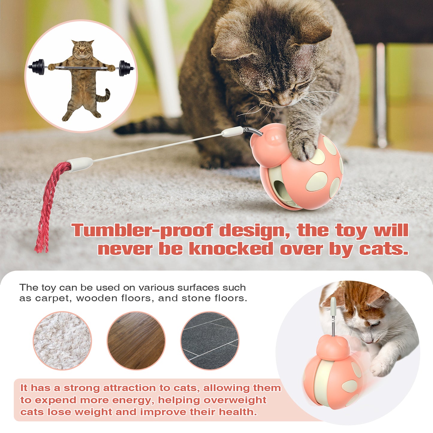 Crixal Interactive Cat Toy – Ladybug Feeder Wand