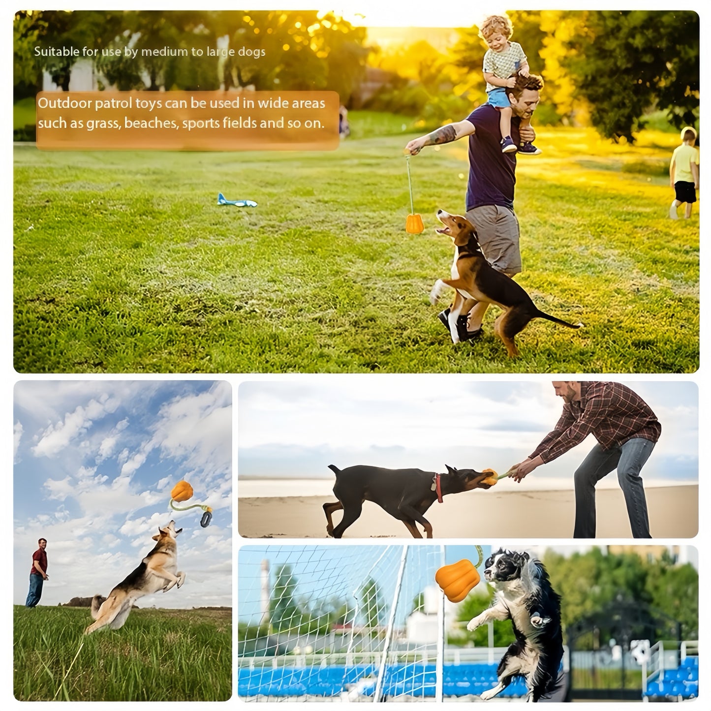 Crixal Dog Toy – Pumpkin Squeaky Tug Ball